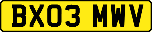 BX03MWV