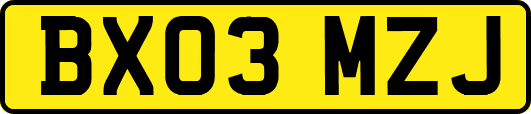 BX03MZJ