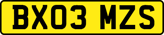 BX03MZS