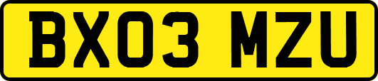 BX03MZU