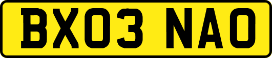 BX03NAO