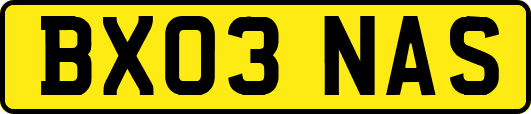 BX03NAS