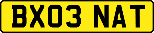 BX03NAT