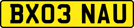 BX03NAU