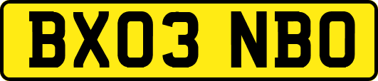 BX03NBO