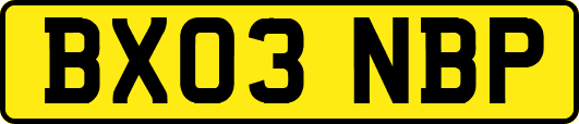 BX03NBP