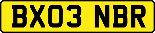 BX03NBR