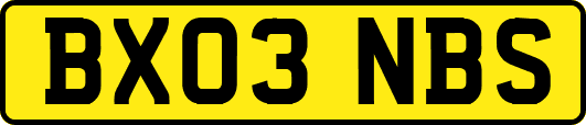 BX03NBS