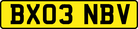 BX03NBV