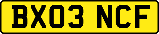 BX03NCF