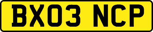 BX03NCP