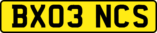 BX03NCS
