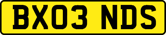 BX03NDS