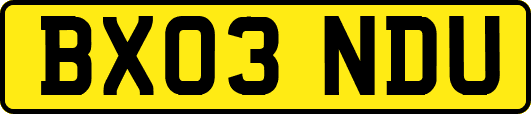 BX03NDU