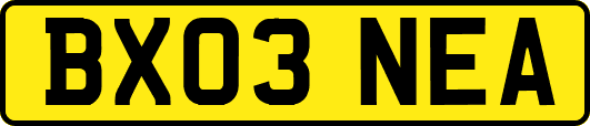 BX03NEA