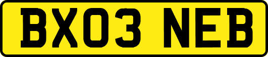 BX03NEB