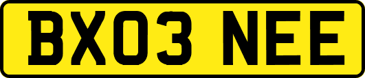 BX03NEE