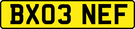 BX03NEF