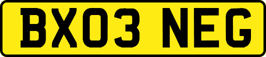 BX03NEG