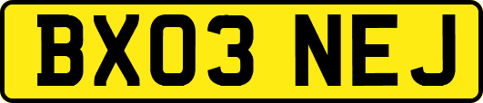 BX03NEJ