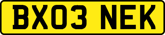 BX03NEK