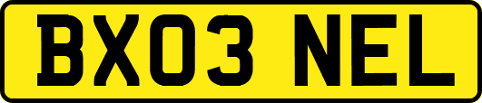 BX03NEL