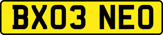 BX03NEO