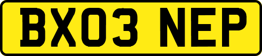 BX03NEP