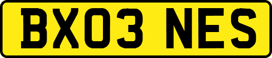 BX03NES