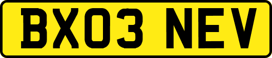 BX03NEV