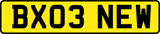 BX03NEW