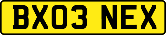 BX03NEX