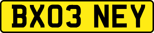 BX03NEY