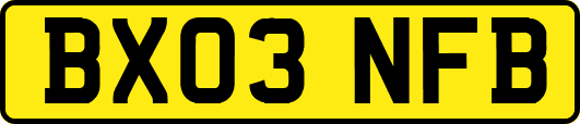 BX03NFB