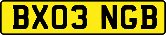 BX03NGB