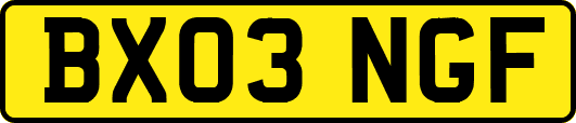 BX03NGF