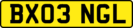 BX03NGL
