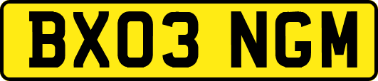BX03NGM