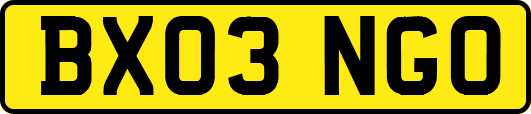 BX03NGO