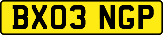 BX03NGP