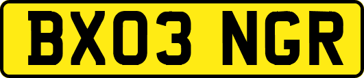 BX03NGR