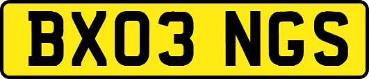 BX03NGS