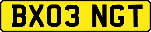 BX03NGT