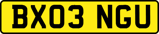 BX03NGU