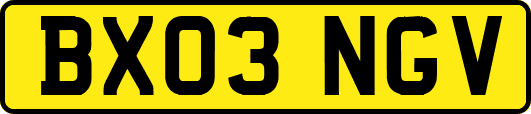 BX03NGV