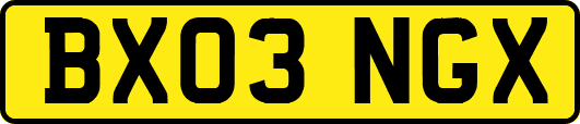 BX03NGX
