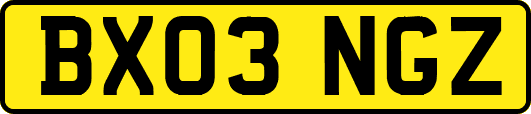 BX03NGZ