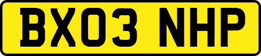 BX03NHP