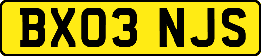 BX03NJS