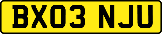 BX03NJU